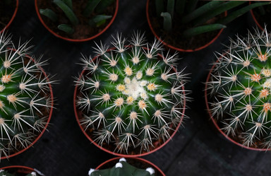 Similar image 21524270