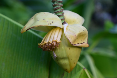 Similar image 21524274