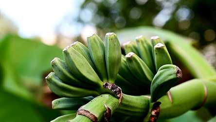 Similar image 21524278