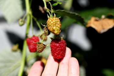 Similar image 21524286