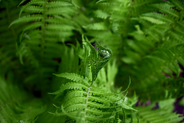 Similar image 21524288