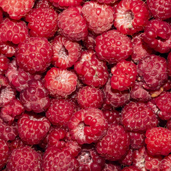 Similar image 21524298