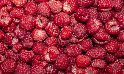 Similar image 21524299