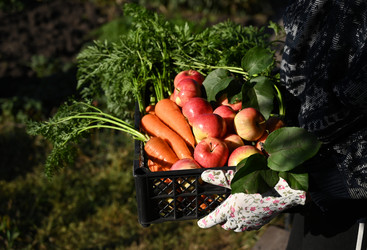 Similar image 21524306