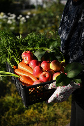 Similar image 21524307