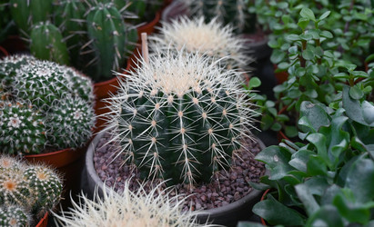 Similar image 21524471