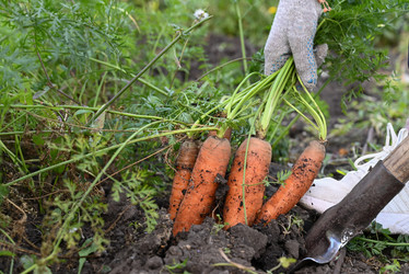 Similar image 21524478