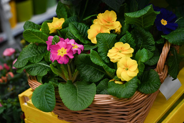 Similar image 21524495