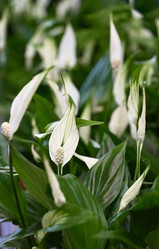 Similar image 21524497