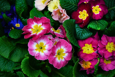 Similar image 21524309