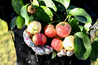 Similar image 21524317