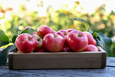 Similar image 21524320