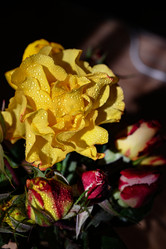 Similar image 21524323
