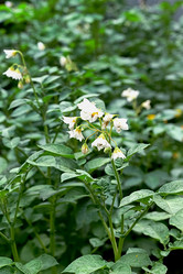 Similar image 21524325