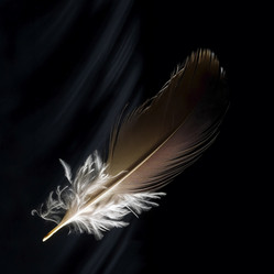 Similar image 21542382