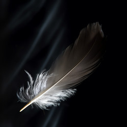 Similar image 21542384