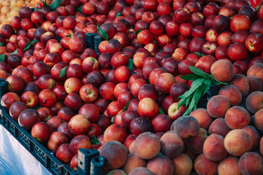 Similar image 21533339