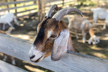 Similar image 21524336