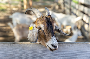 Similar image 21524337