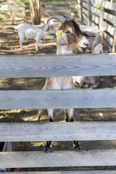 Similar image 21524338