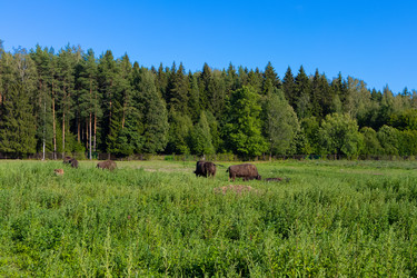 Similar image 21524353