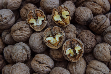 Similar image 21524749