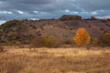 Similar image 21524754