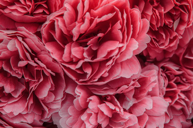 Similar image 21524755