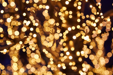 Similar image 21526145