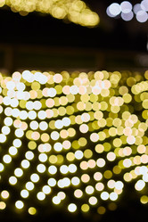 Similar image 21526155