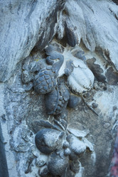 Similar image 21526182