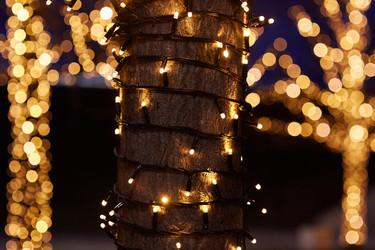 Similar image 21526183