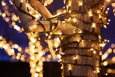 Similar image 21526184