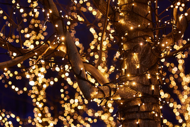 Similar image 21526186