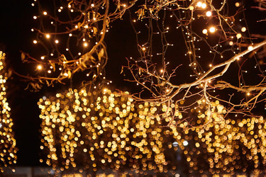 Similar image 21526187