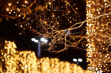 Similar image 21526188