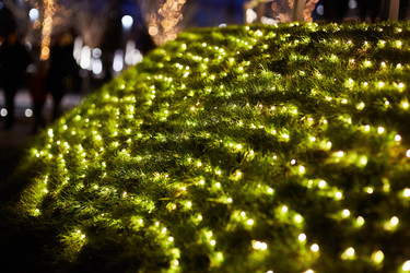 Similar image 21526201