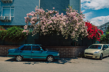 Similar image 21533346