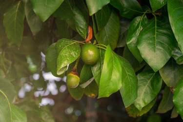 Similar image 21533348