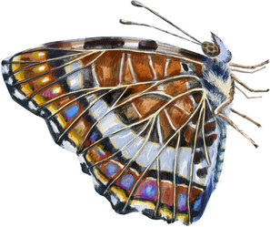 Similar image 21523967