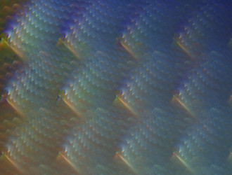 Similar image 21531583