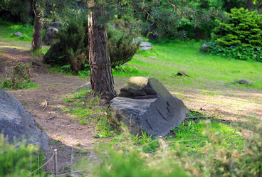 Similar image 21524367