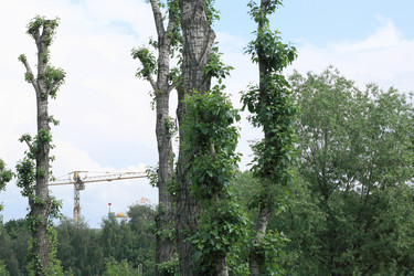 Similar image 21524373