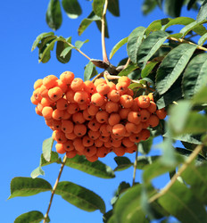 Similar image 21524375