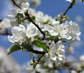 Similar image 21524413