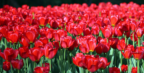 Similar image 21524426