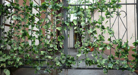 Similar image 21524431