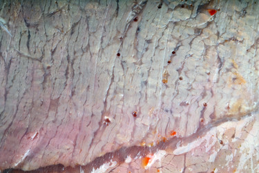 Similar image 21524436