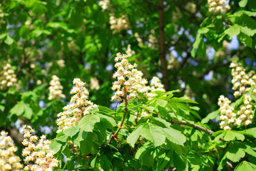 Similar image 21524446