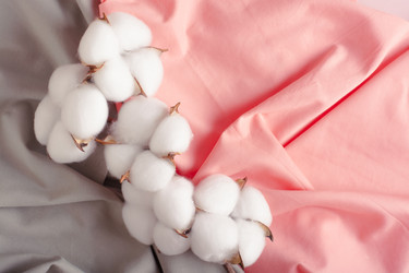 Similar image 21524032